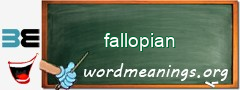 WordMeaning blackboard for fallopian